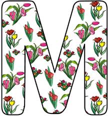 Tulpen-Buchstabe-M.jpg